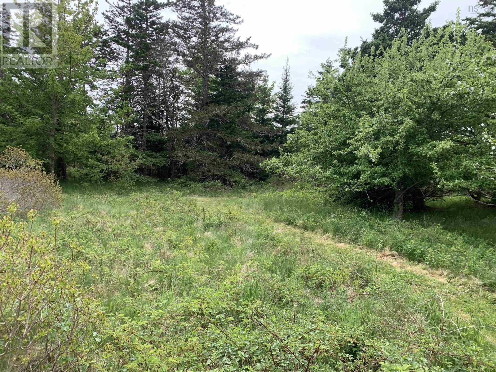 4 lots, Highway 334, Lower Wedgeport, Lower Wedgeport, Nova Scotia