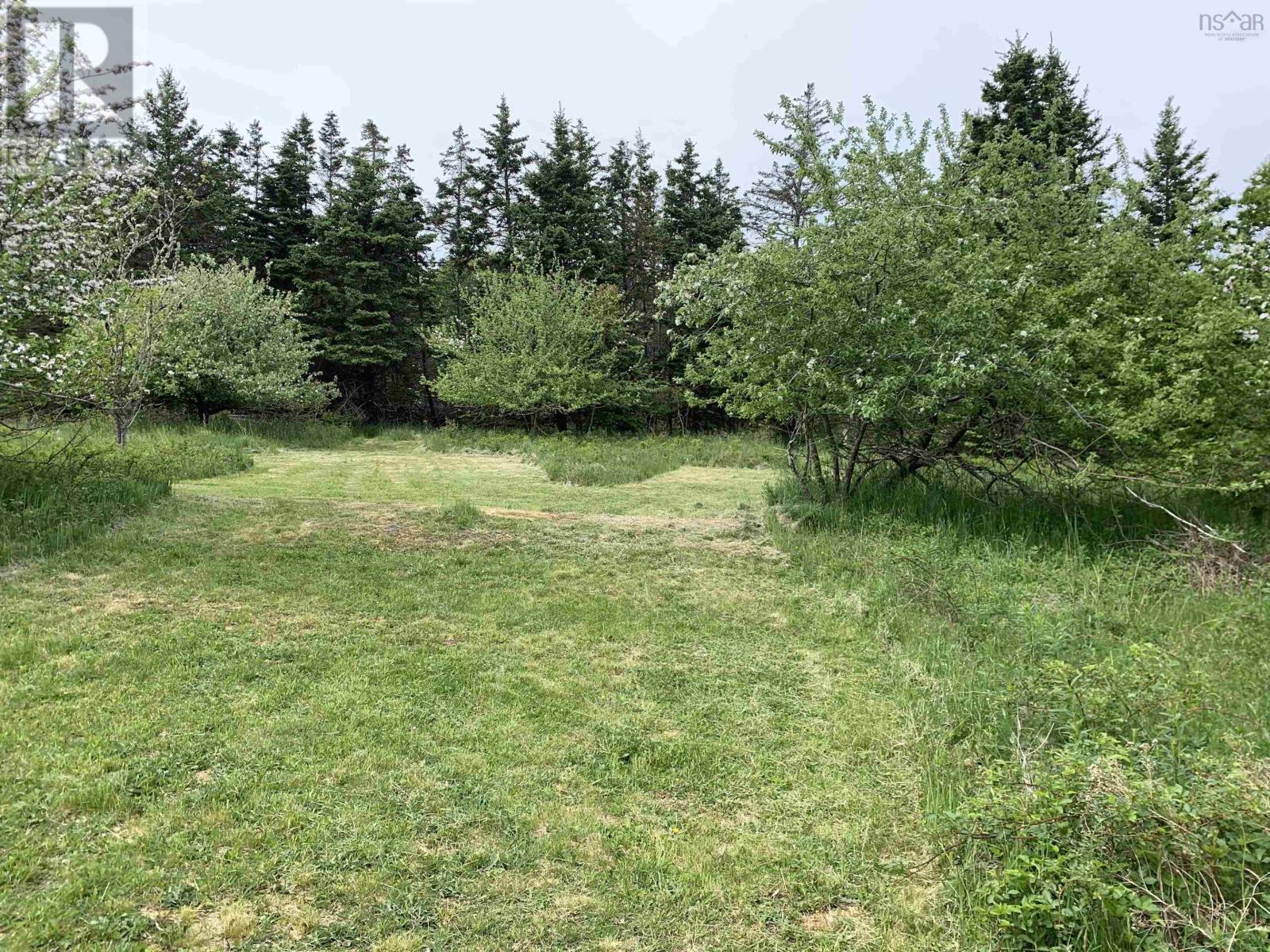 4 lots, Highway 334, Lower Wedgeport, Lower Wedgeport, Nova Scotia