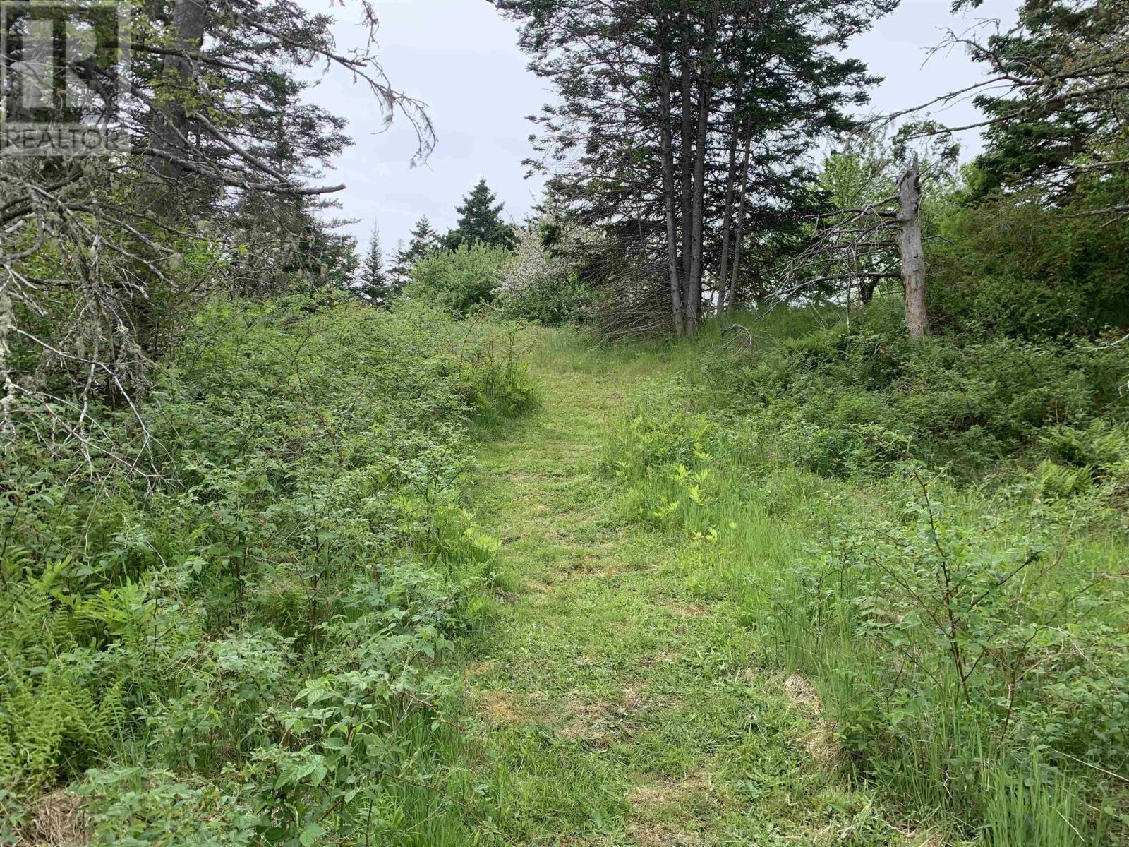 4 lots, Highway 334, Lower Wedgeport, Lower Wedgeport, Nova Scotia