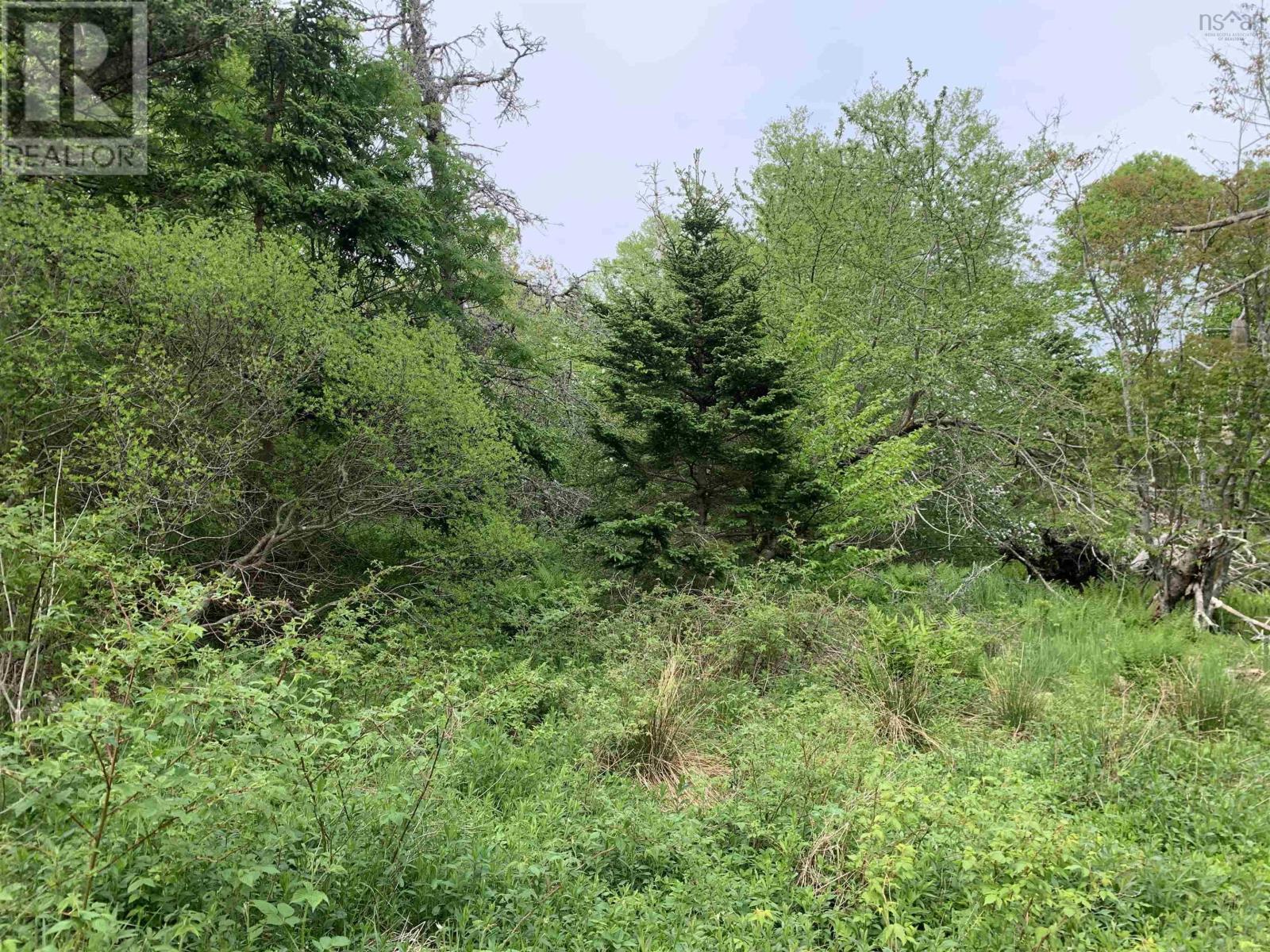 4 lots, Highway 334, Lower Wedgeport, Lower Wedgeport, Nova Scotia