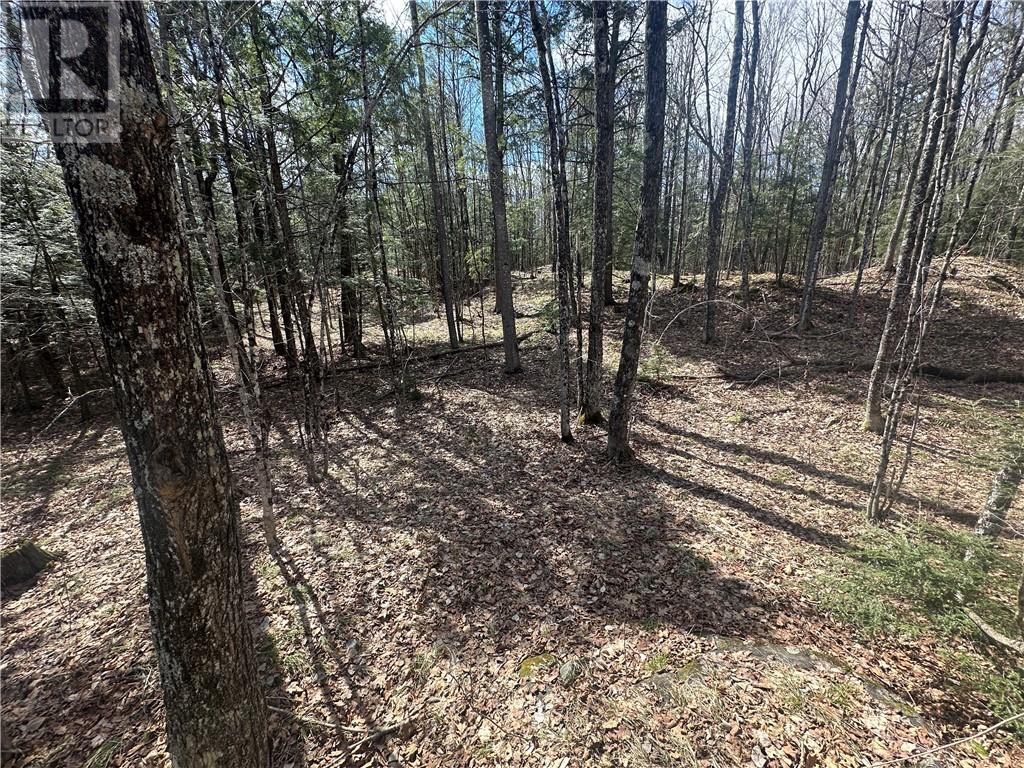 For sale CALABOGIE ROAD, Renfrew, Ontario K7V3Z4 1383781 REALTOR.ca