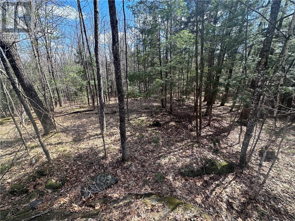 For sale CALABOGIE ROAD, Renfrew, Ontario K7V3Z4 1383781 REALTOR.ca