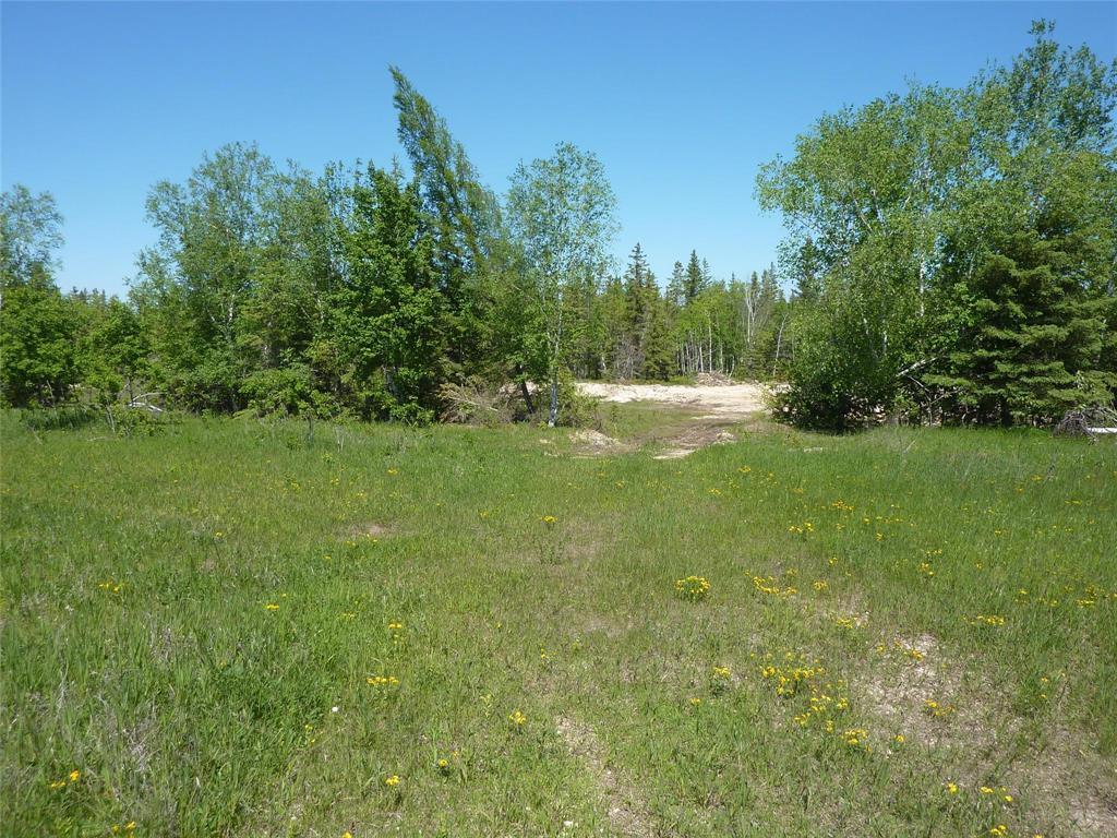 For sale 0 Camp Neustadt Road, Gimli Rm, Manitoba R0C1B0 202413607 REALTOR.ca