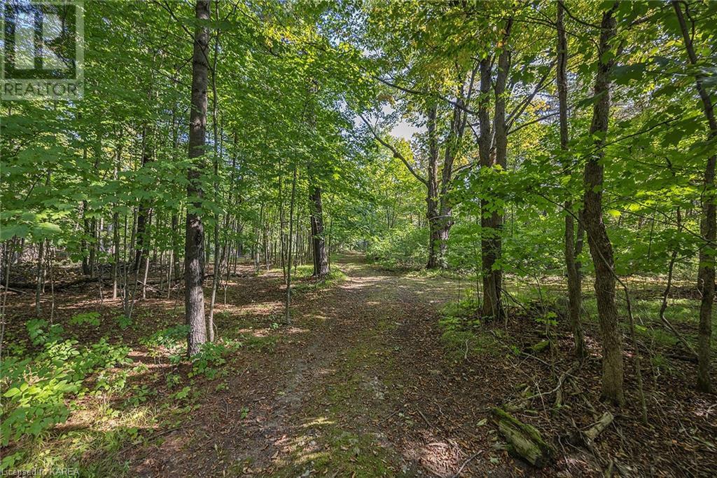 For sale 4733 TAYLOR KIDD Boulevard, Bath, Ontario K0G1G0 40562120