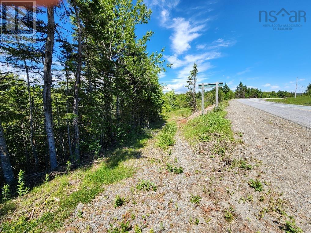 For sale Larrys River Road, Lundy, Nova Scotia B0H1N0 202412999