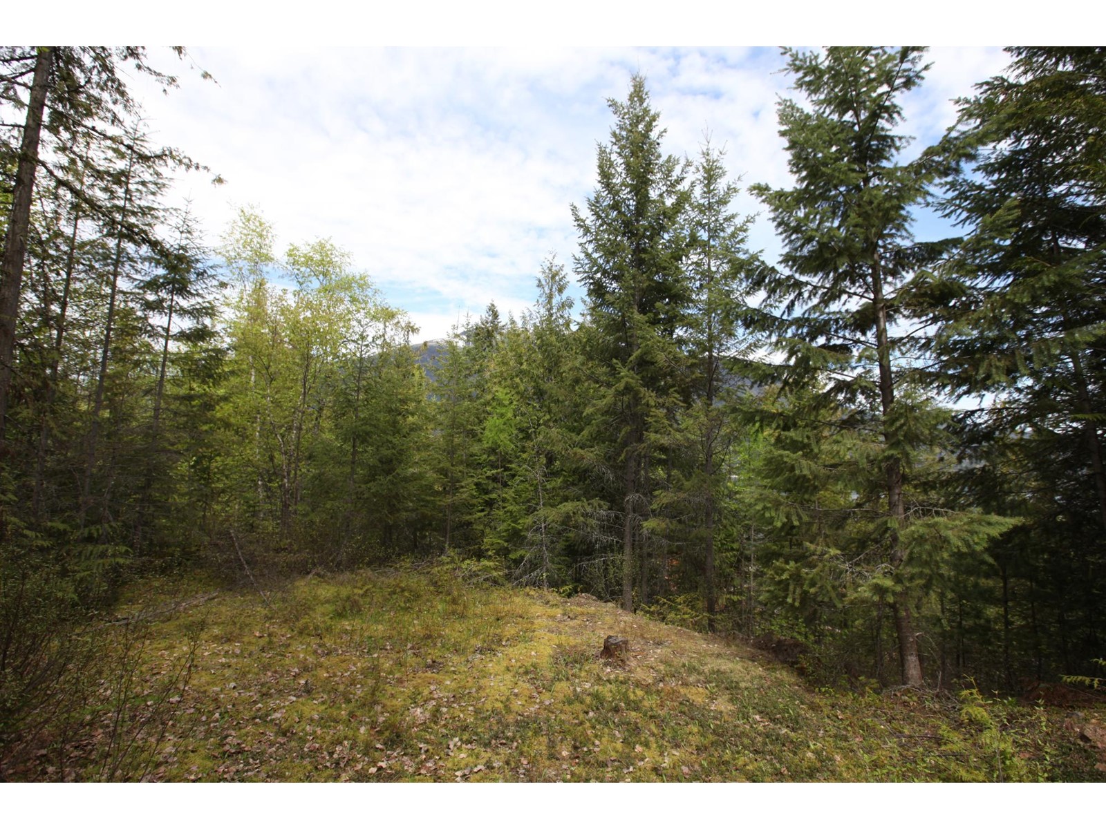 For sale 434 LEXINGTON AVENUE, Procter, British Columbia V1L6R7