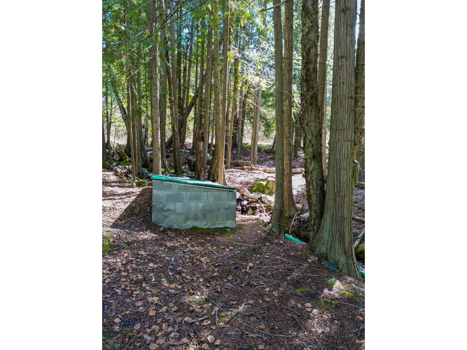 For sale 11110 HIGHWAY 3A, Sanca, British Columbia V0B1A2 2476361