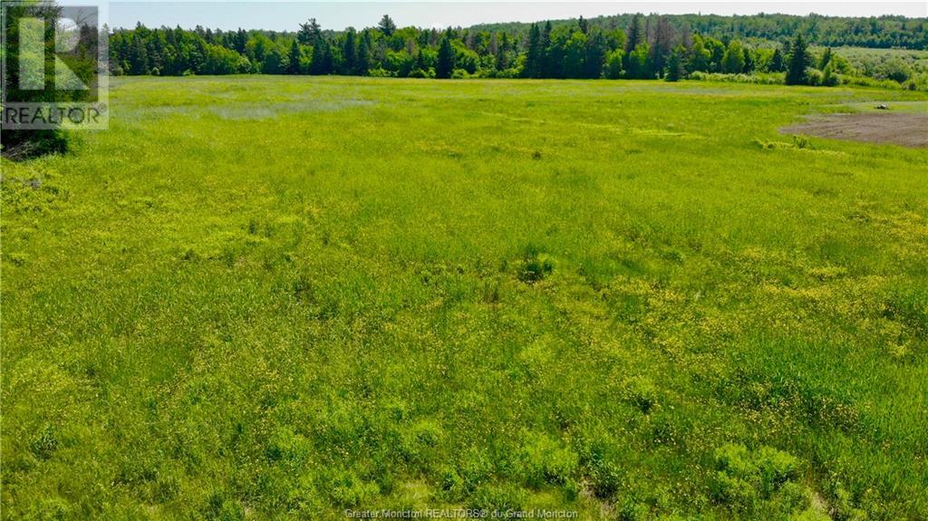 For sale Lot 821 Route 115, Irishtown, New Brunswick E1H2N3 M160246