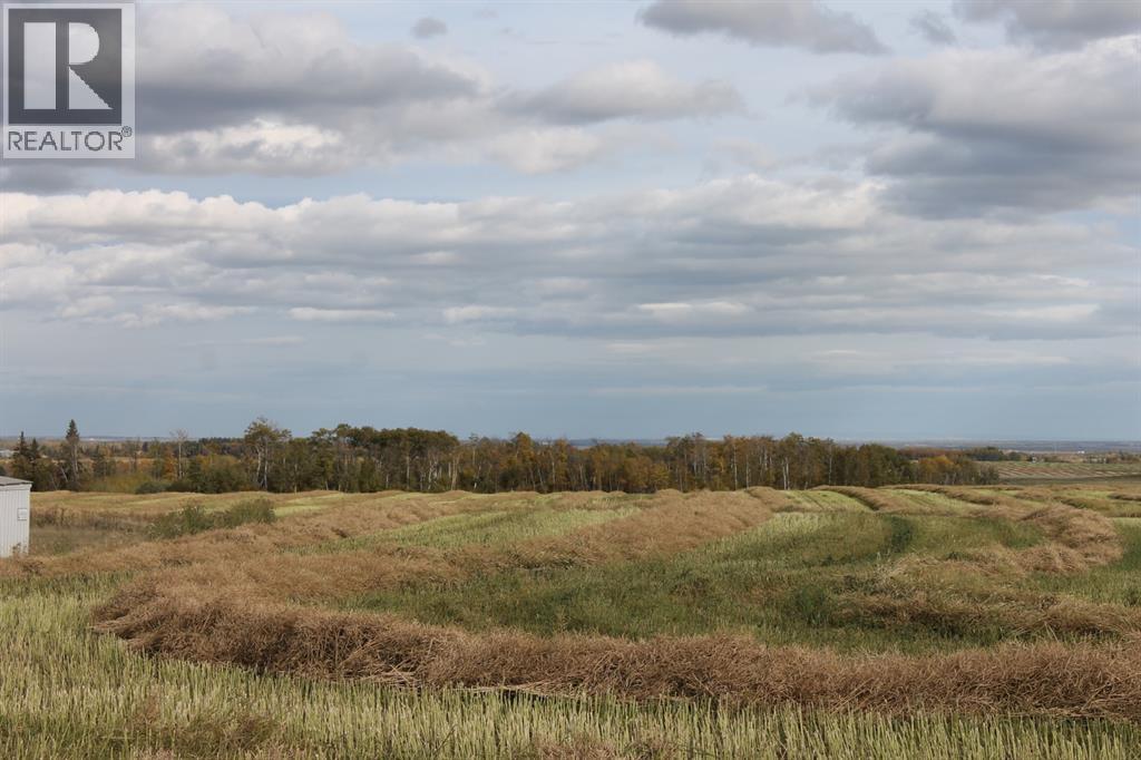 For sale 10400 85 Avenue, Sexsmith, Alberta T0H3C0 A1165129 REALTOR.ca