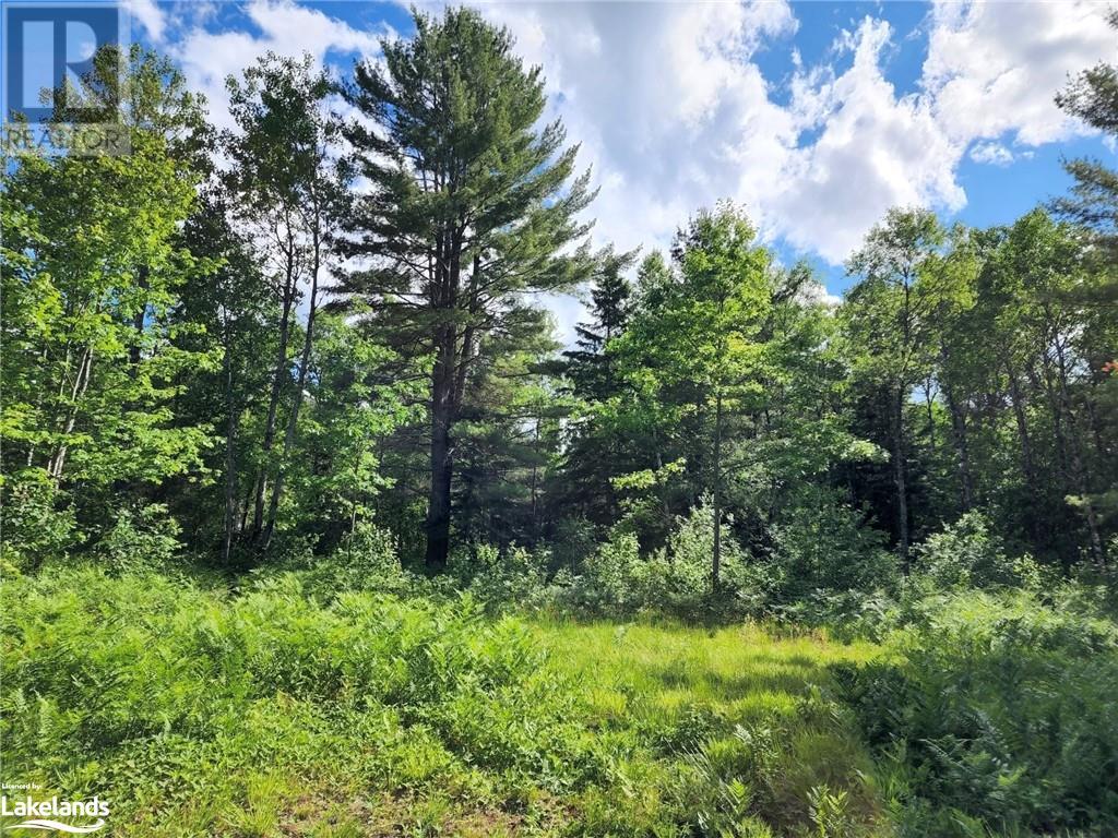 For sale 1075 SPRING LAKE Road, Dwight, Ontario P0A1H0 40606590