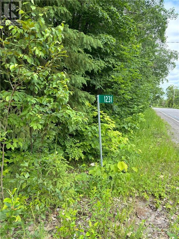For sale 1231 RIVER ROAD, Braeside, Ontario K0A1G0 1397962 REALTOR.ca