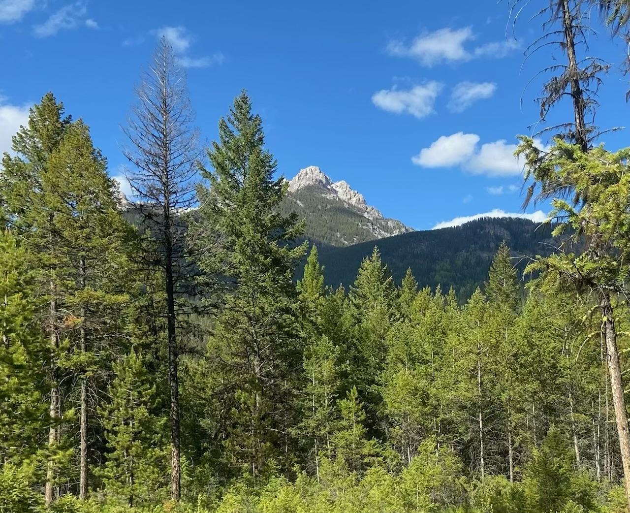 For sale 2800 WHITE RAM FOREST SERVICE ROAD, Skookumchuck, British