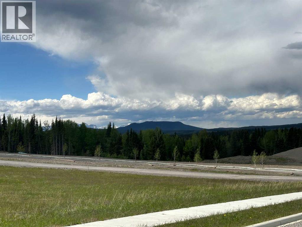 For sale 300 ELIZABETH Avenue, Nordegg, Alberta T0M2H0 A2142152