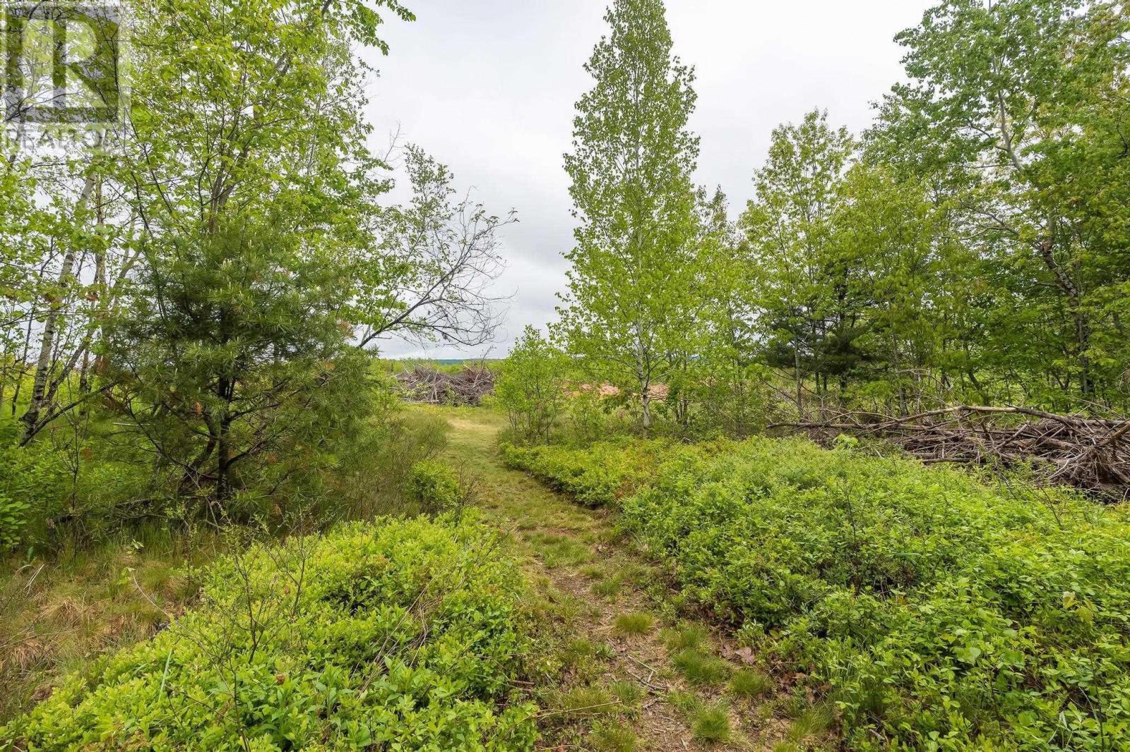 132 Crocker Road, Auburn, Nova Scotia B0P1A0 REALTOR.ca