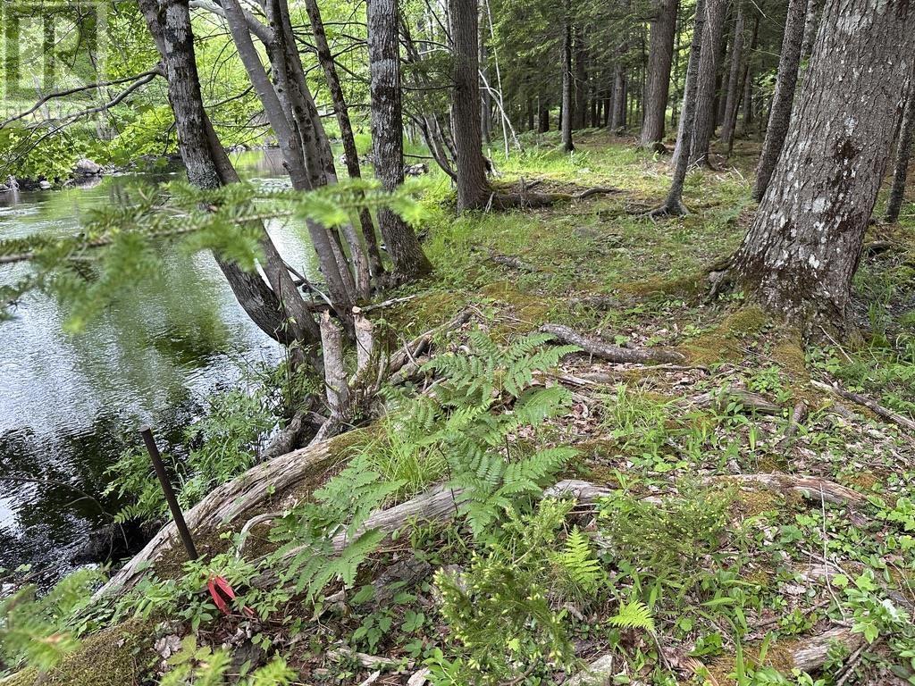 For sale Lot 1 Wentzell Road, Baker Settlement, Nova Scotia B4V7J4