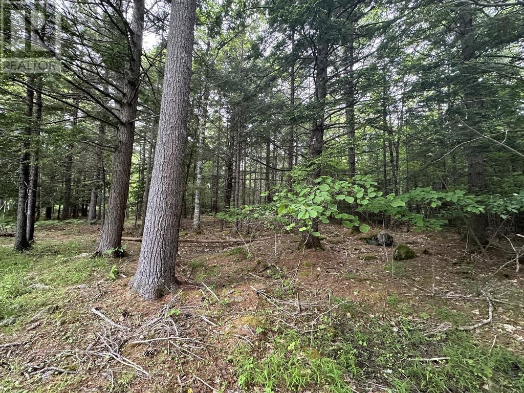 For sale Lot 1 Wentzell Road, Baker Settlement, Nova Scotia B4V7J4