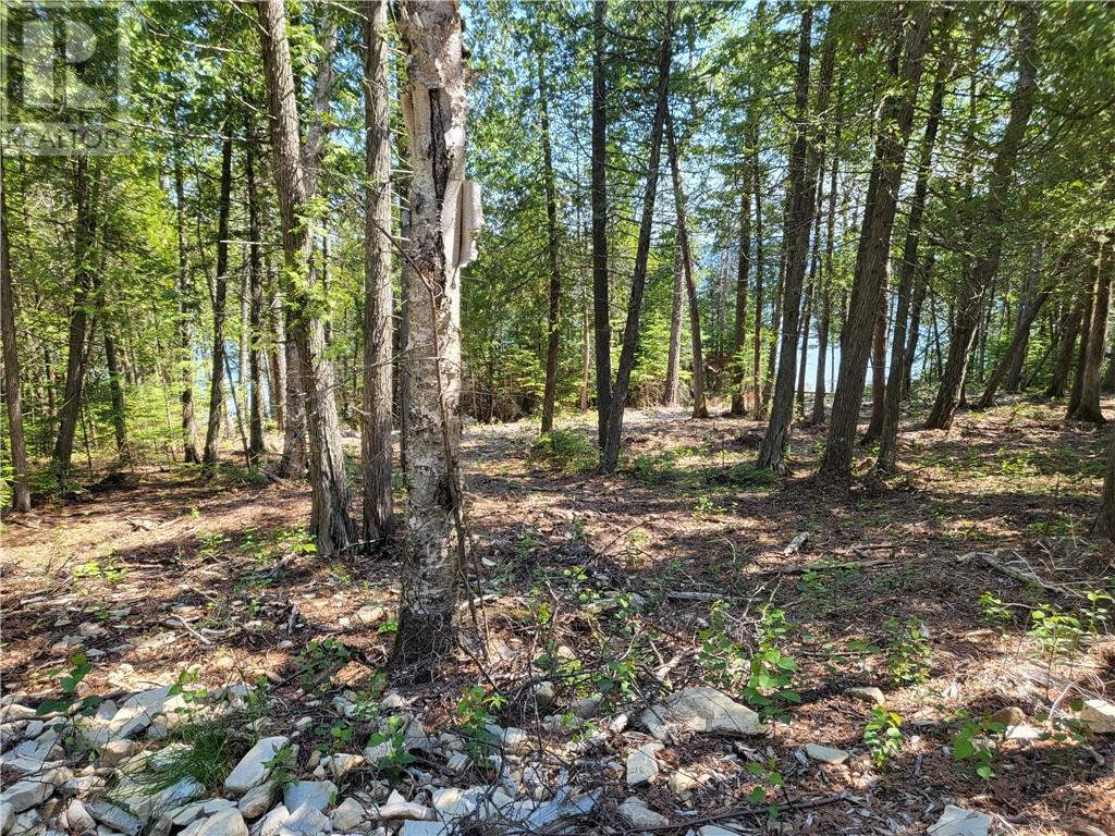 For sale Lot 1 31M209 Water Street, Meldrum Bay, Ontario P0P1R0