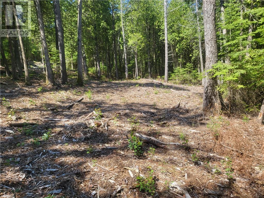 For sale Lot 1 31M209 Water Street, Meldrum Bay, Ontario P0P1R0