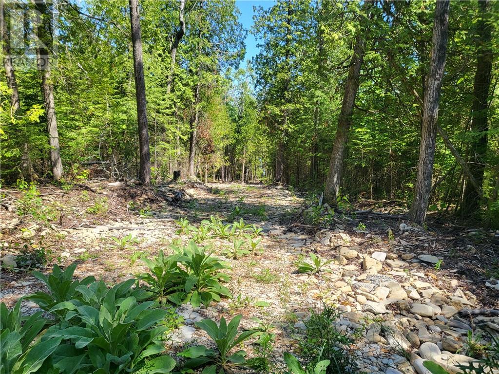 For sale Lot 2 31M209 Water Street, Meldrum Bay, Ontario P0P1R0