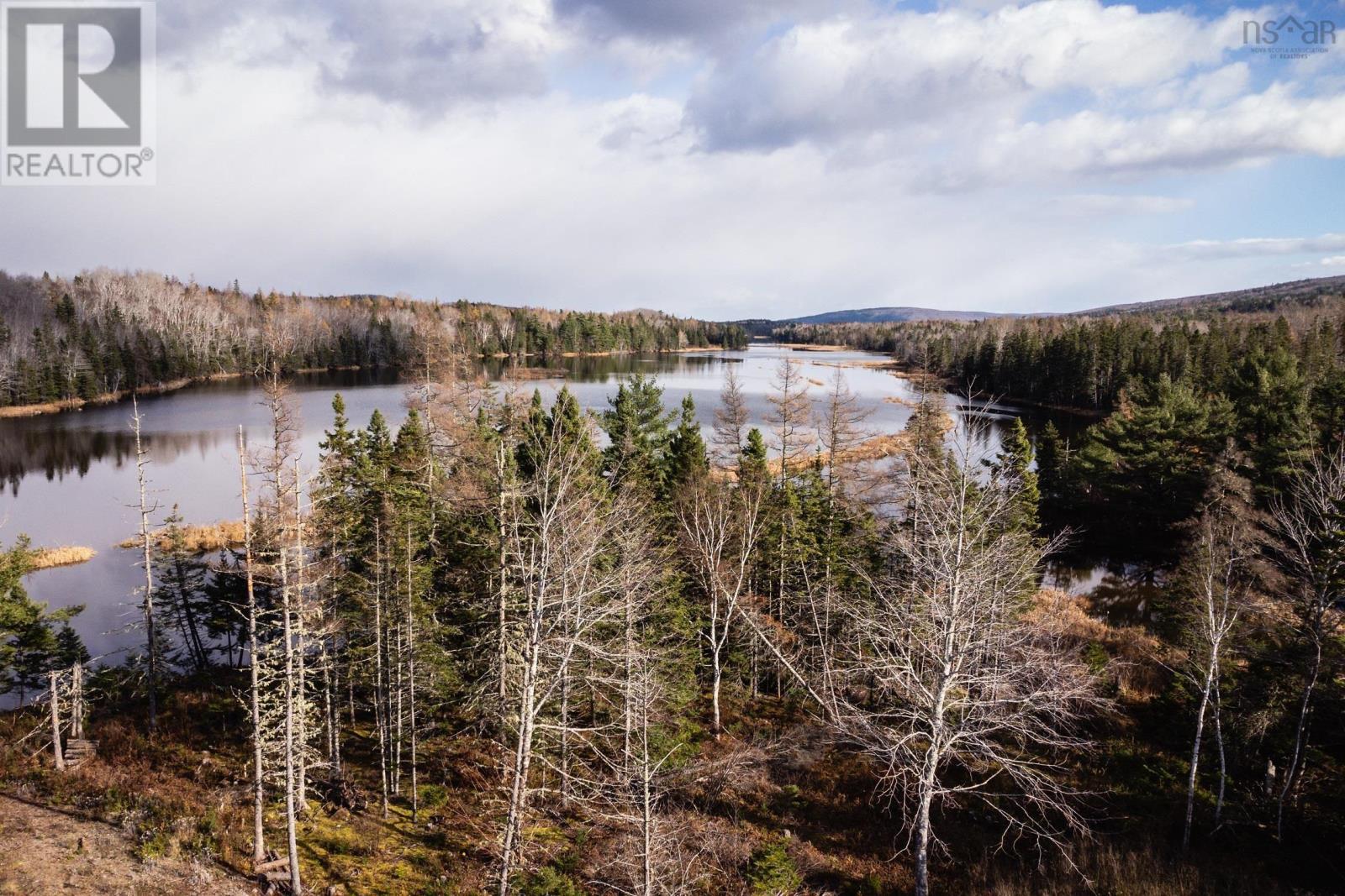 For sale 38 acres Southside River Denys Rd, Valley Mills, Nova Scotia