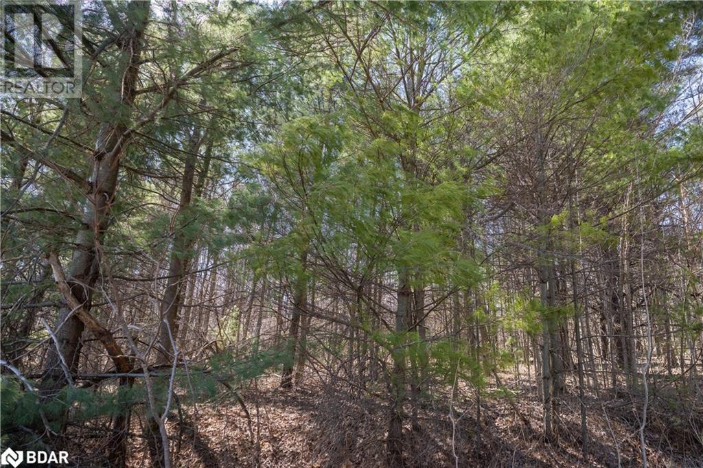 For sale 0 MOONSTONE Road E, OroMedonte, Ontario L0K1N0 40608211