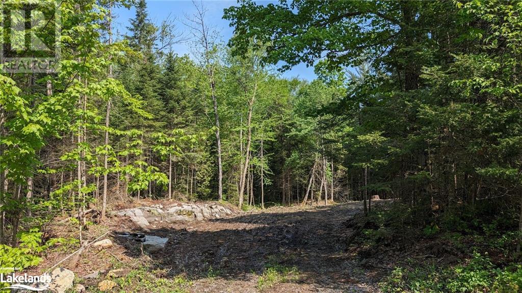 For sale LOT 2 LIMBERLOST Road, Lake Of Bays, Ontario P1H2J6