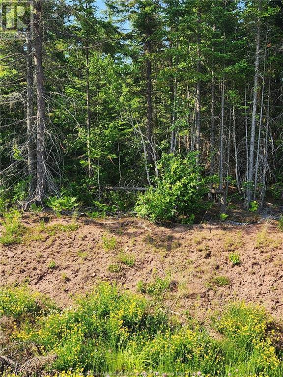 For sale Lot 2220 La Fontaine Extension DR, Greater Lakeburn, New Brunswick E1H0C1 M160383