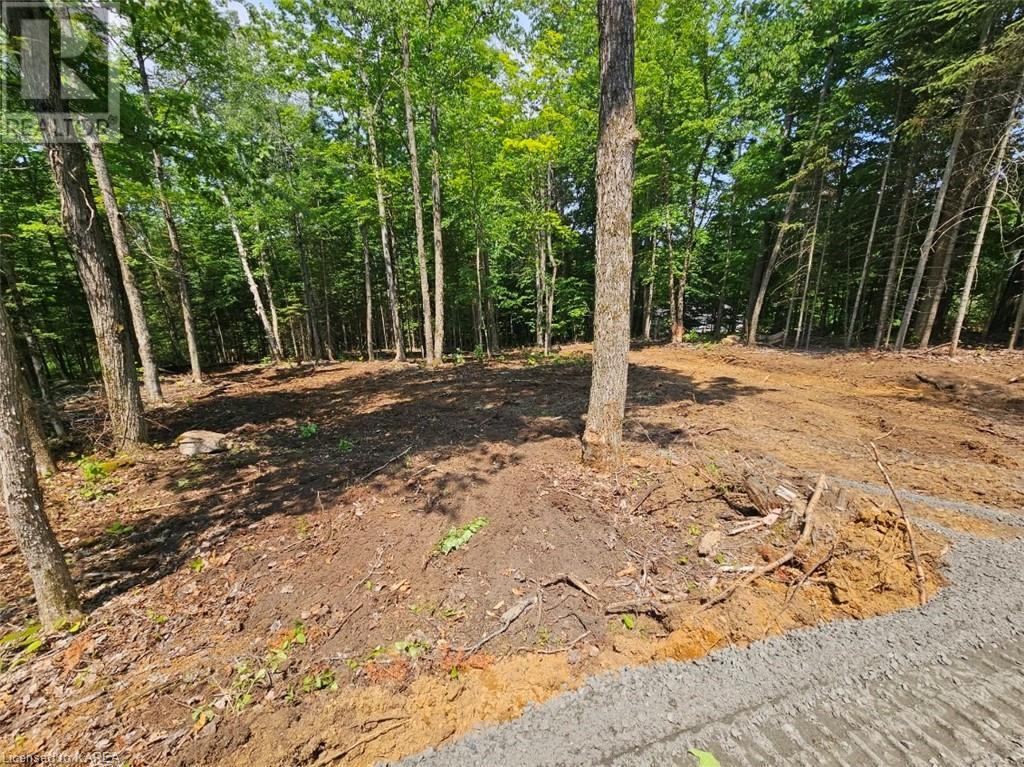 For sale 1496 S BAPTISTE LK RD, Bancroft, Ontario K0L1C0 40597827