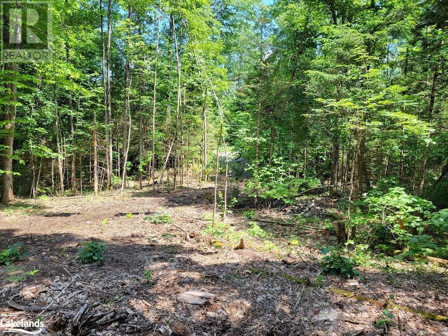 For sale LOT 4 FAIRY FALLS Road, Baysville, Ontario P0B1A0 40598332