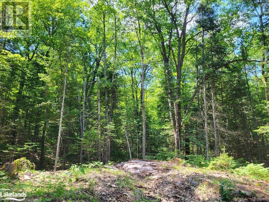 For sale LOT 5 FAIRY FALLS Road, Baysville, Ontario P0B1A0 40598399