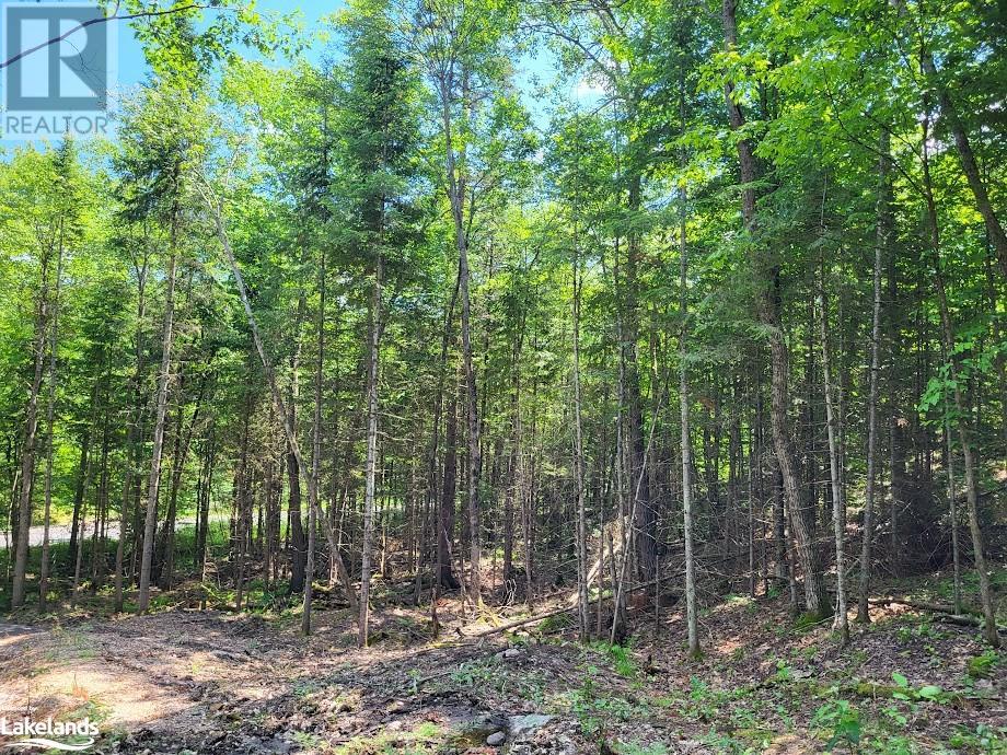 For sale LOT 5 FAIRY FALLS Road, Baysville, Ontario P0B1A0 40598399