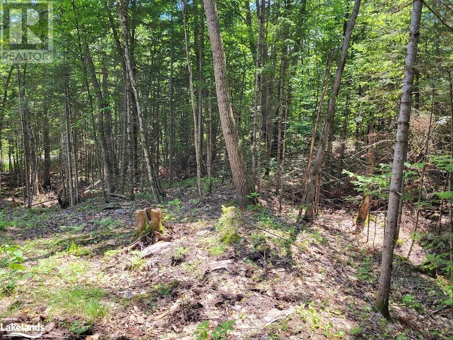 For sale LOT 5 FAIRY FALLS Road, Baysville, Ontario P0B1A0 40598399