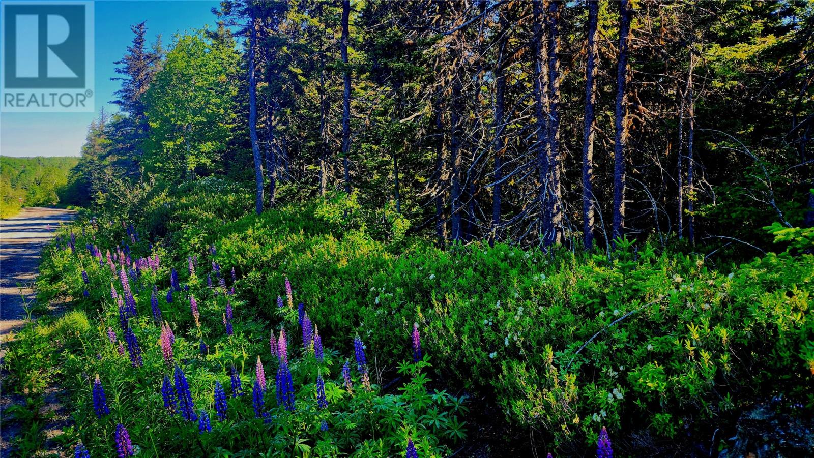 For sale 11 Yetmans Lane, Eastport, Newfoundland & Labrador A0G1Z0 1273623 REALTOR.ca