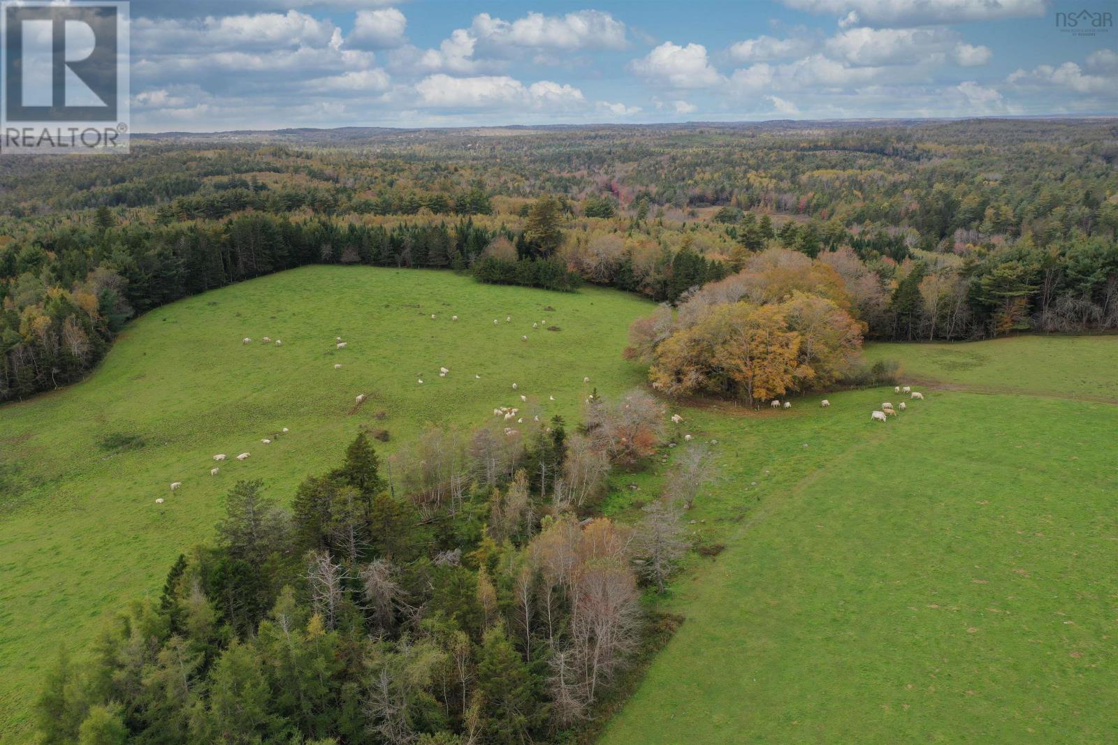 For sale 2249 Upper Branch Road, Midville Branch, Nova Scotia B4V4S9