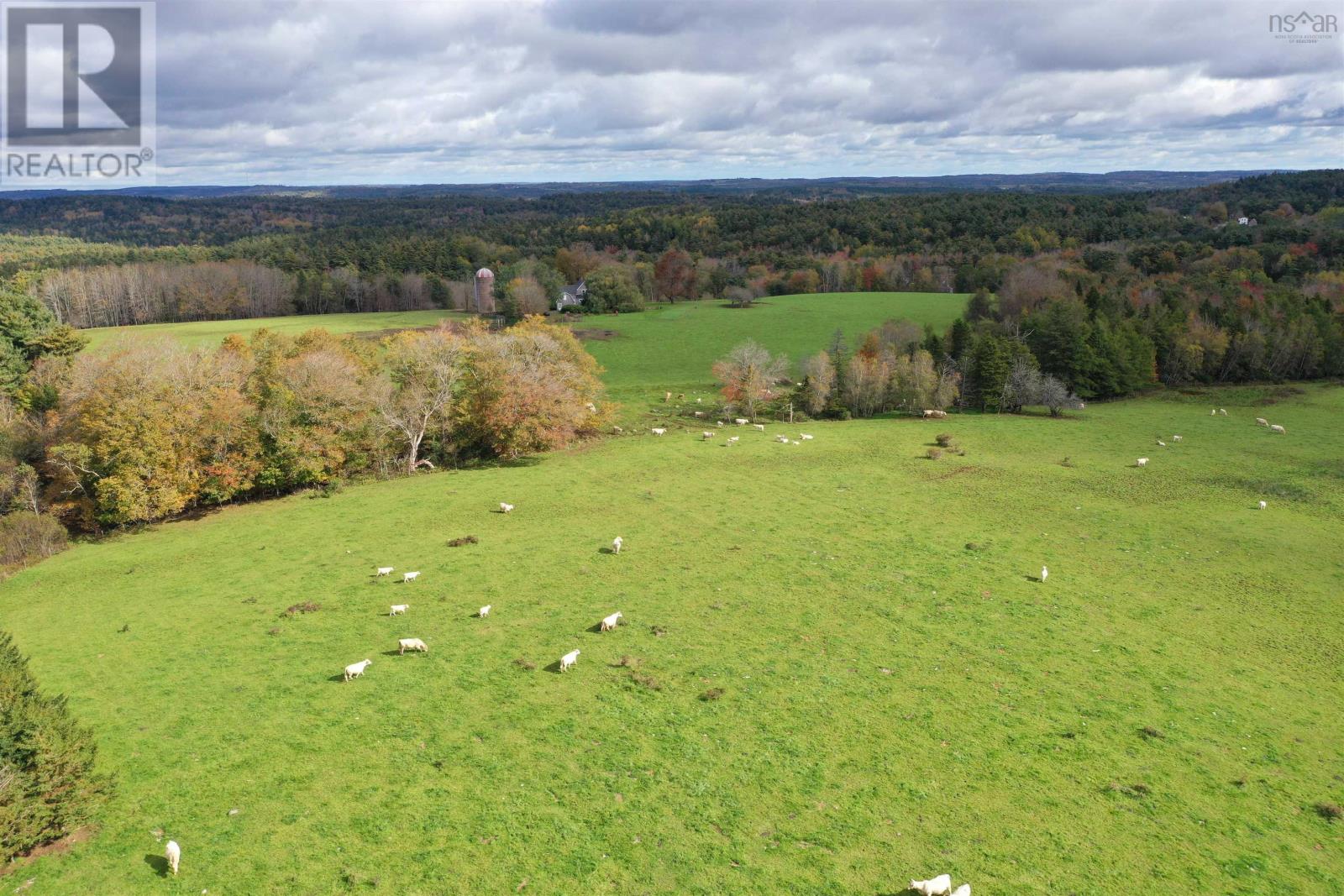 For sale 2249 Upper Branch Road, Midville Branch, Nova Scotia B4V4S9