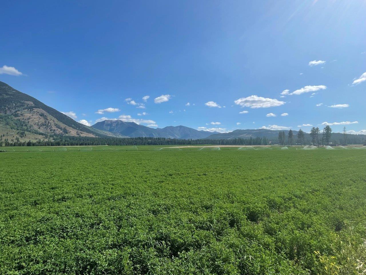 For sale 3445 WARDNERFORT STEELE ROAD, Fort Steele, British Columbia