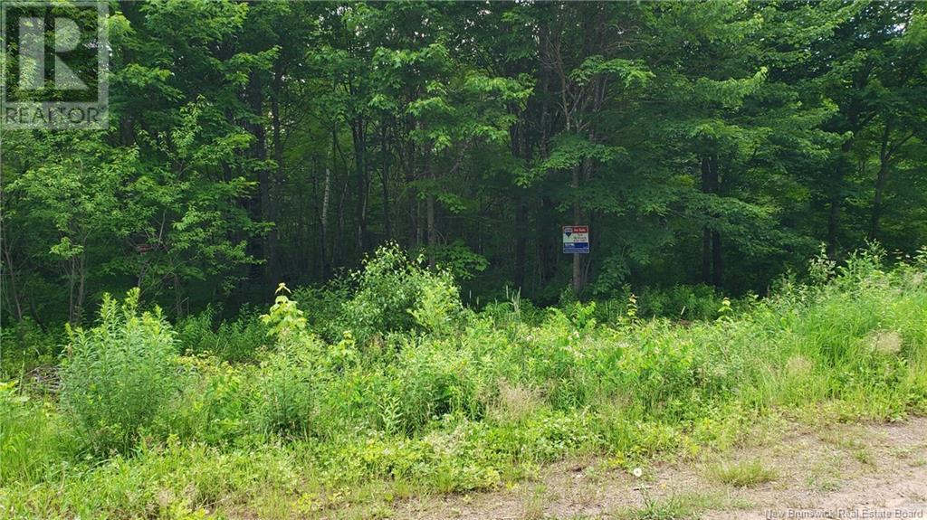 For sale Lower Bagdad Road, Waterborough, New Brunswick E4C2J4