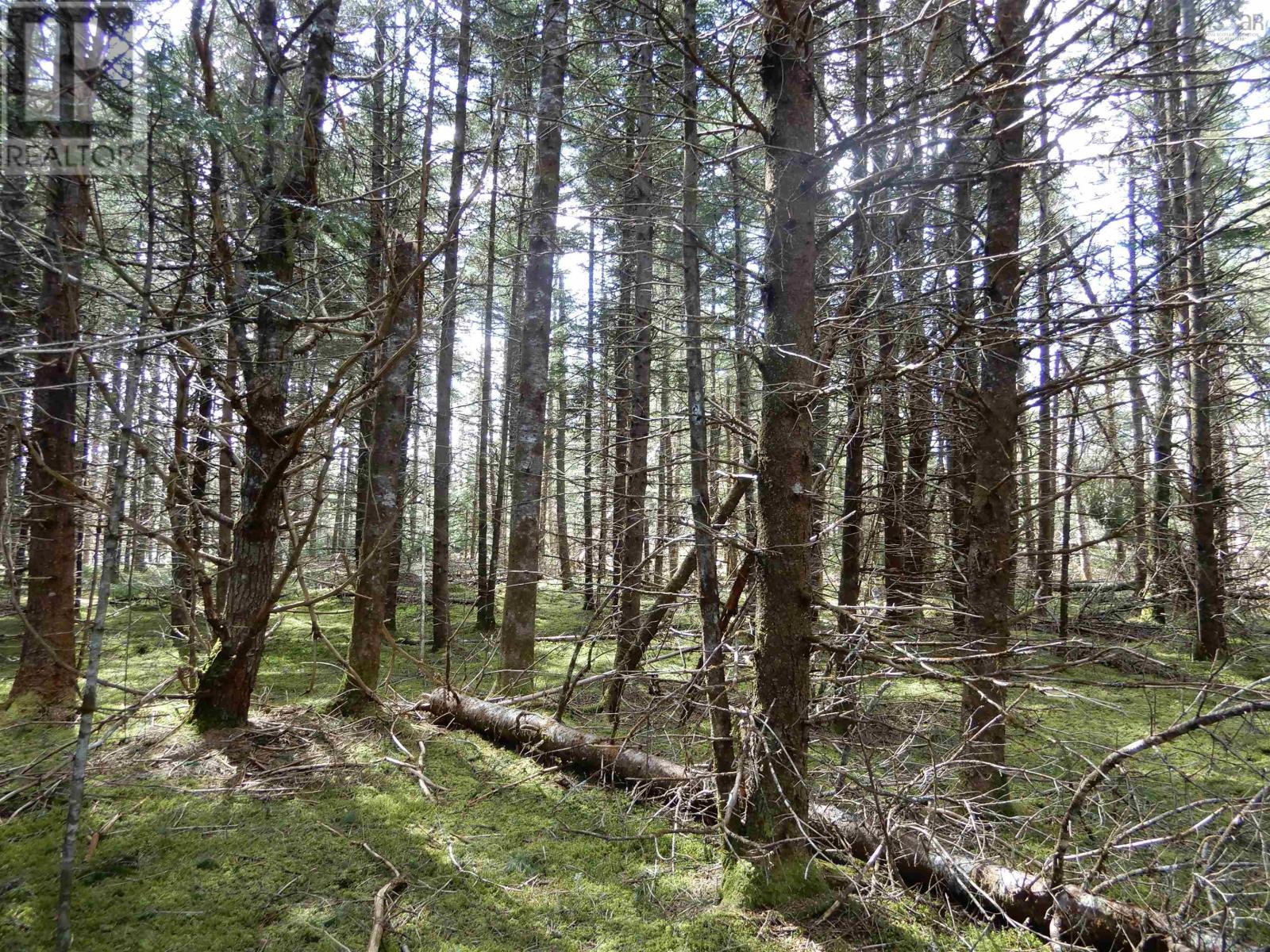 For sale Sherbrooke Road, Rocky Mountain, Nova Scotia B2H5C8