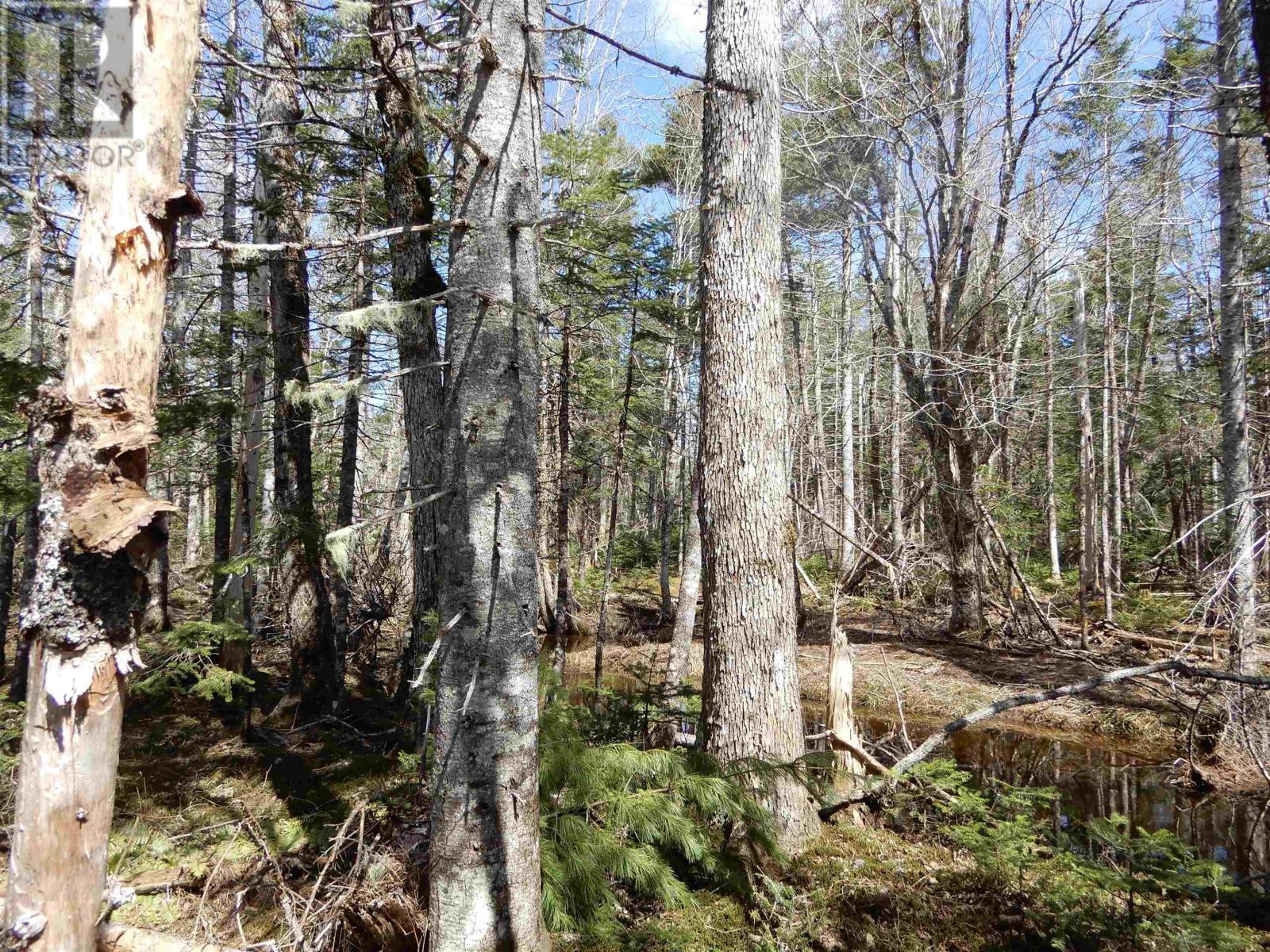 For sale Sherbrooke Road, Rocky Mountain, Nova Scotia B2H5C8