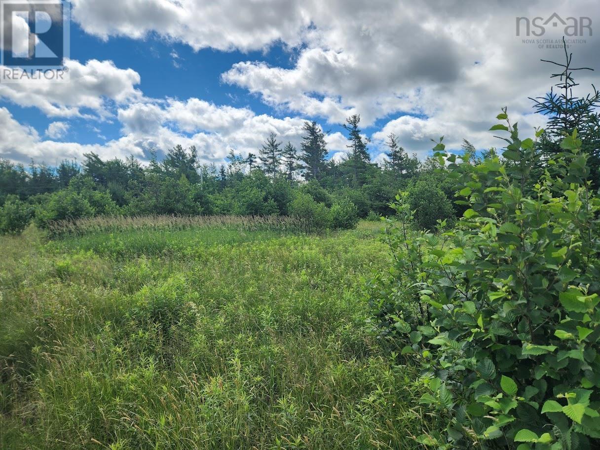 For sale Lot 7 55 Brule Shore Road, Barrachois, Nova Scotia B0K1V0 202415167 REALTOR.ca