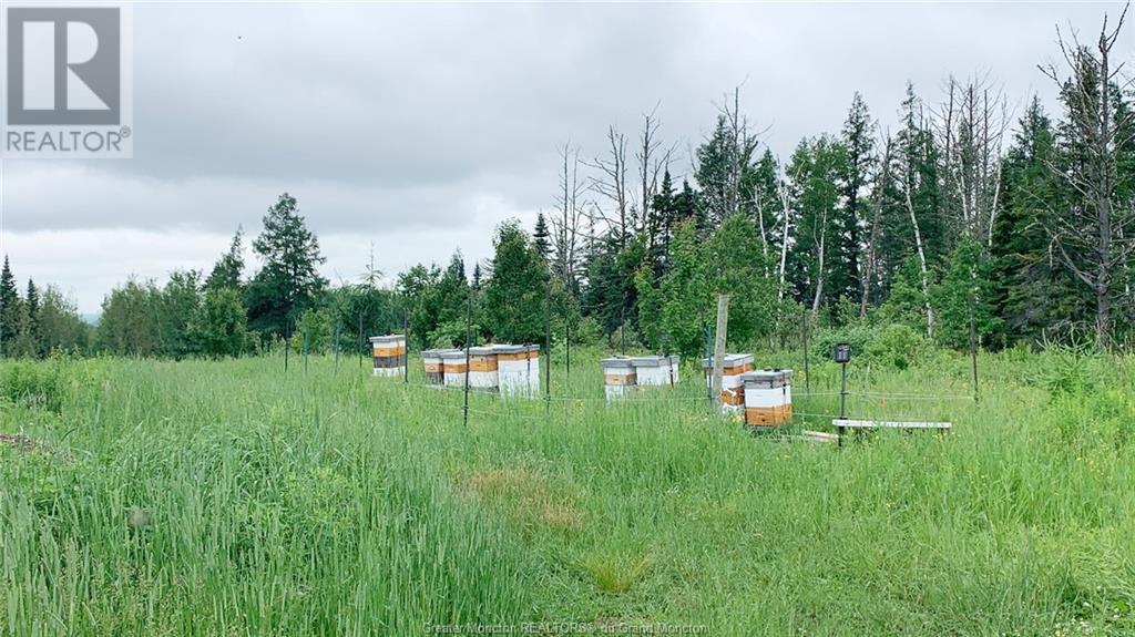 For sale 160 Campbell RD, Arthurette, New Brunswick E7H1R1 M155191