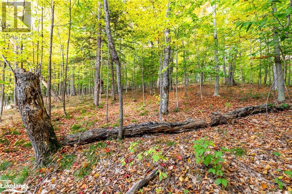 For sale 1130 PORT CUNNINGTON Road, Dwight, Ontario P0H1A0 40548496