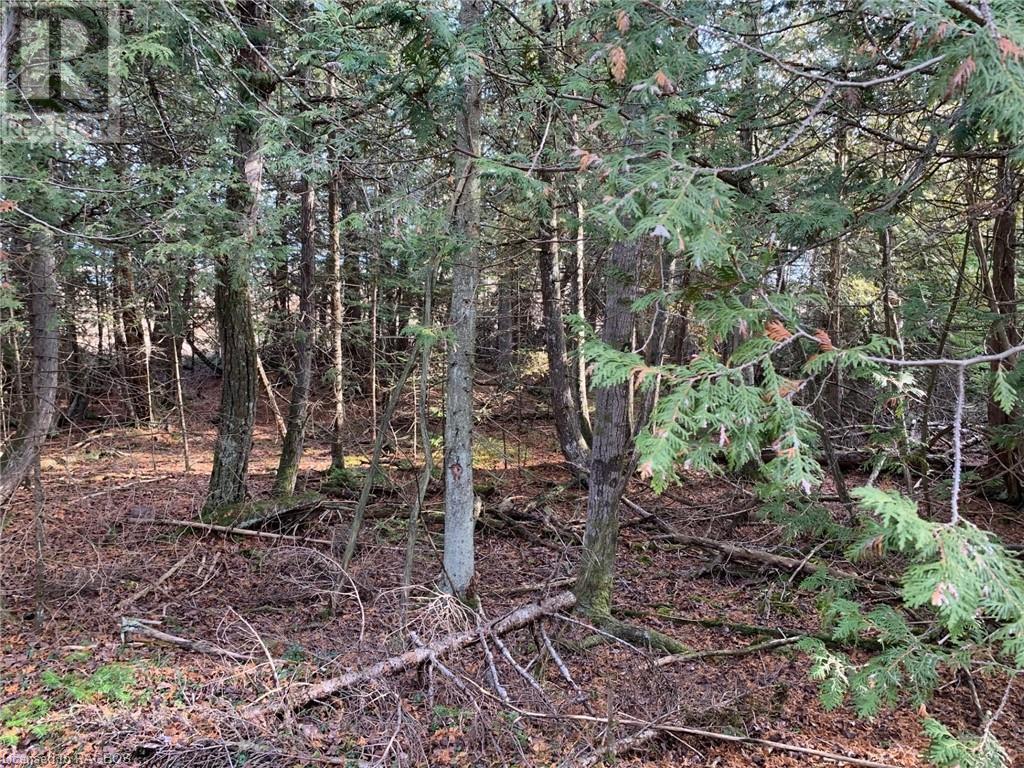 For sale 153 MCDONOUGH LANE PARTS 1 TO 10, Stokes Bay, Ontario N0H1W0