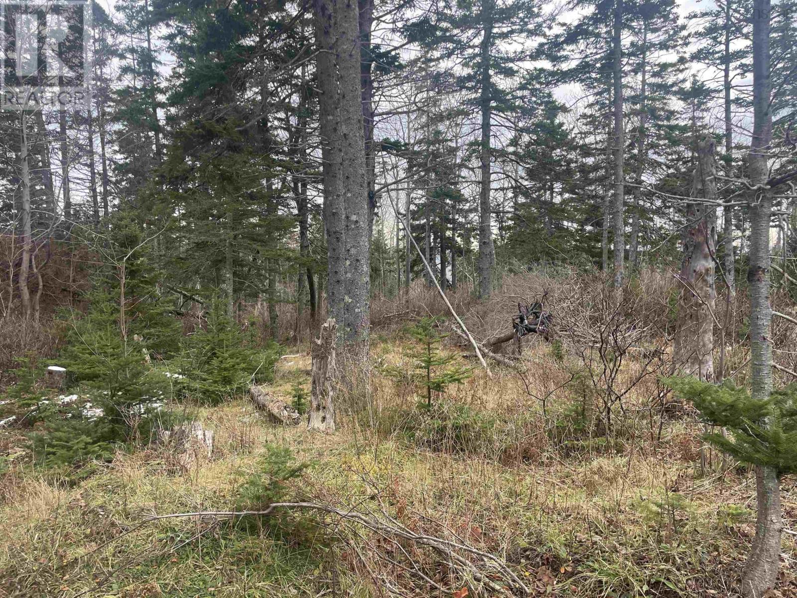 For sale Cabot Trail, Ingonish, Nova Scotia B0C1K0 202325534 REALTOR.ca