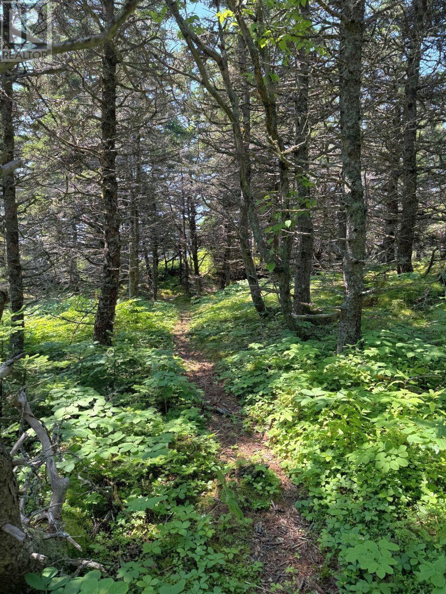 For sale 18 Cape Auguet Road, West Arichat, Nova Scotia B0E1A0