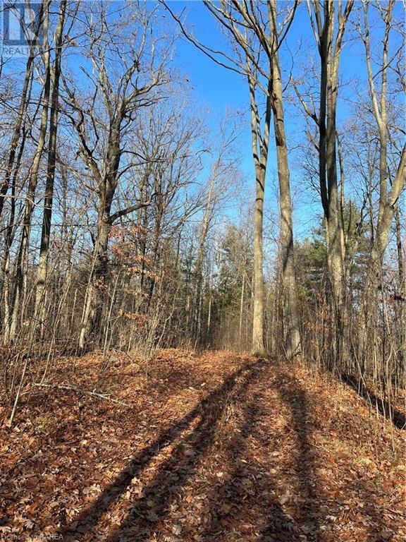 For sale . BRIDGE Street W, Greater Napanee, Ontario K7R3L1 40616240