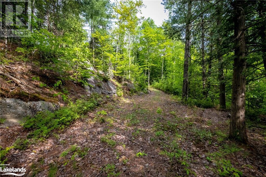 For sale 215 CHARLIE'S Lane, Utterson, Ontario P0B1M0 40585053