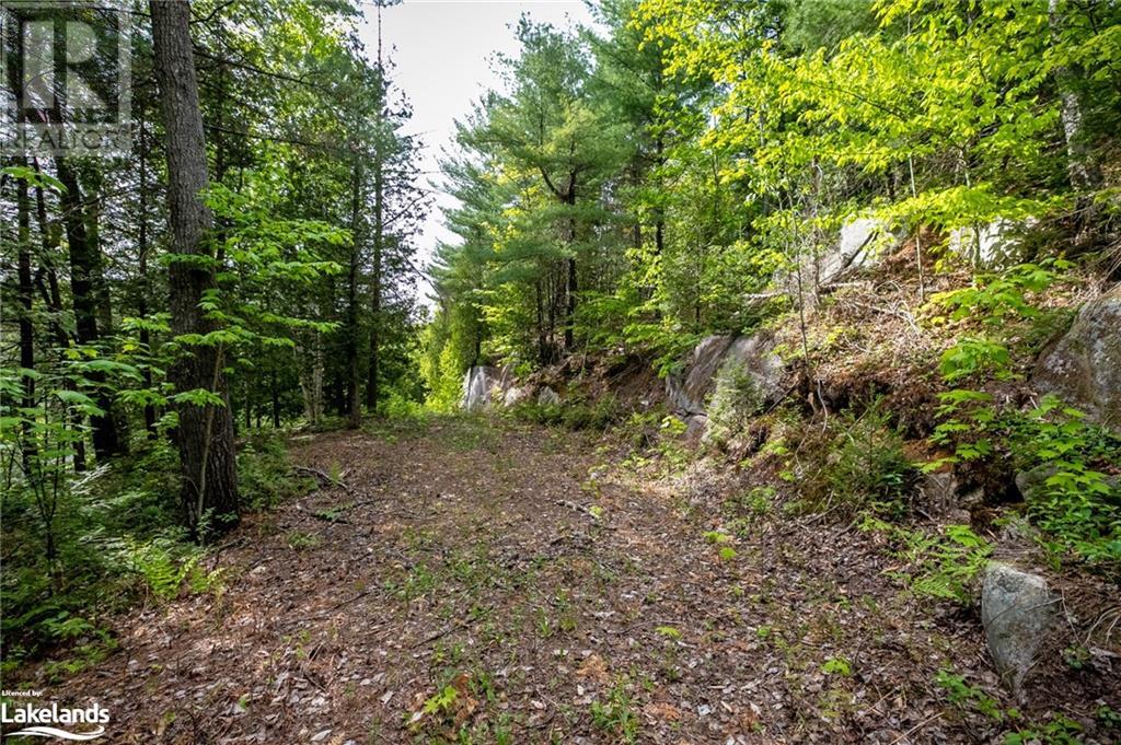 For sale 215 CHARLIE'S Lane, Utterson, Ontario P0B1M0 40585053