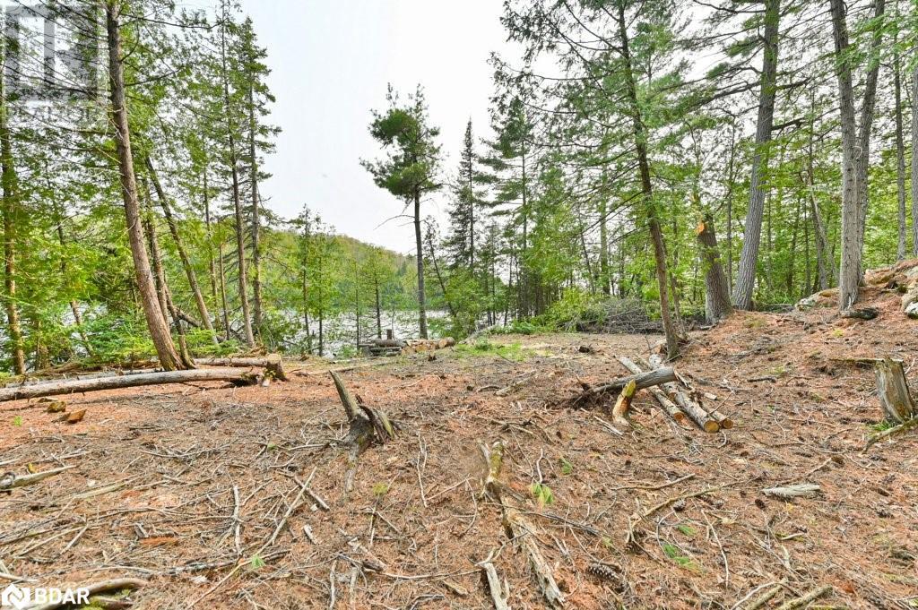 For sale 1008B GORDIE Lane, Ompah, Ontario K0H2J0 40554413 REALTOR.ca