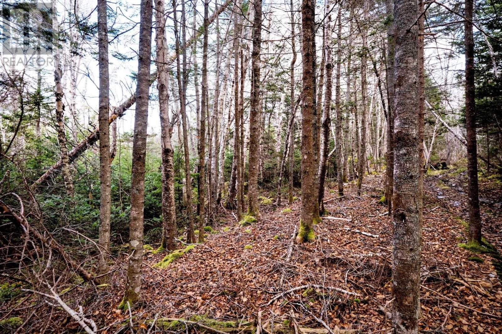 For sale Remainder lot R Peggys Cove Road, Indian Harbour, Nova Scotia